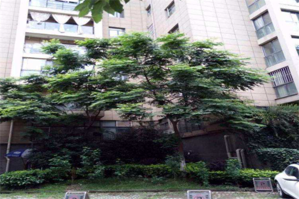 武汉十大顶级小区：金地京汉上榜，第十是学区房