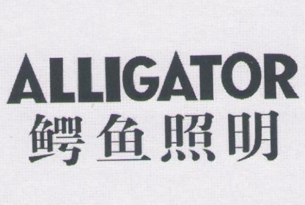 十大品牌灯具品牌排行榜：松下上榜，第一家喻户晓