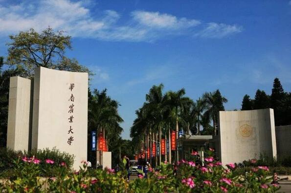 广东十大名牌大学排名 深圳大学上榜，中山大学排名第一