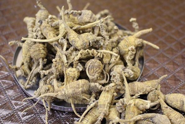 美国十大特产 鲍鱼果上榜，第三是滋补佳品