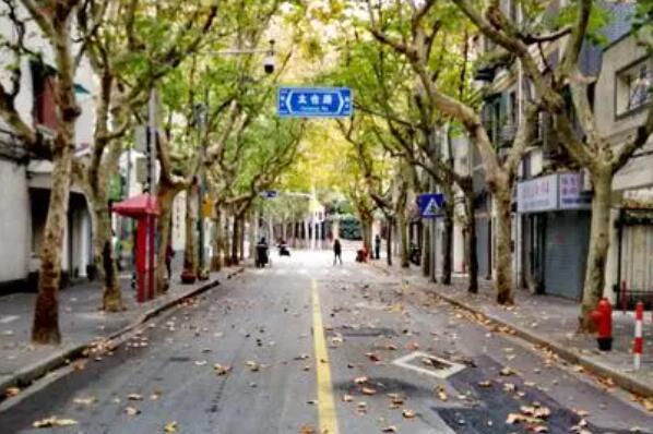 盘点上海十大必打卡马路，思南路上榜，第五是中国历史文化名街