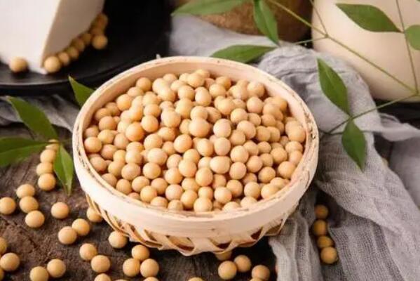 优质蛋白食物十佳排行榜，榜首可补充卵磷脂，液态食物排第二(牛奶