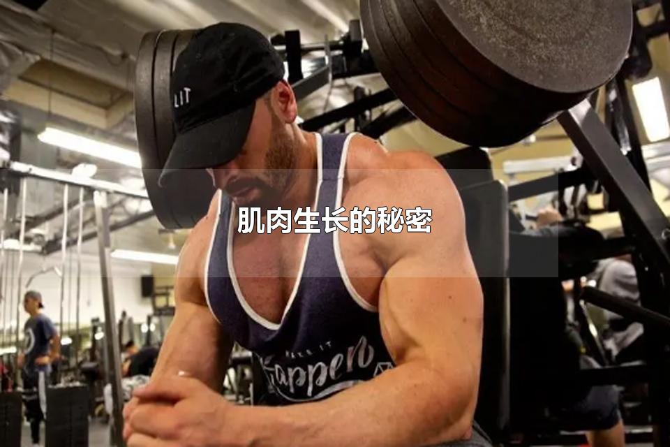 肌肉生长的秘密 练肌肉要吃什么