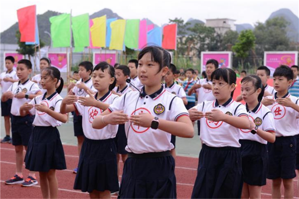 西峰市公立小学排名榜 西峰区肖金镇双桐小学上榜