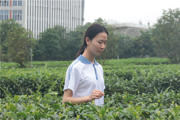 东莞十大高中排行榜 东莞市东华高级中学上榜