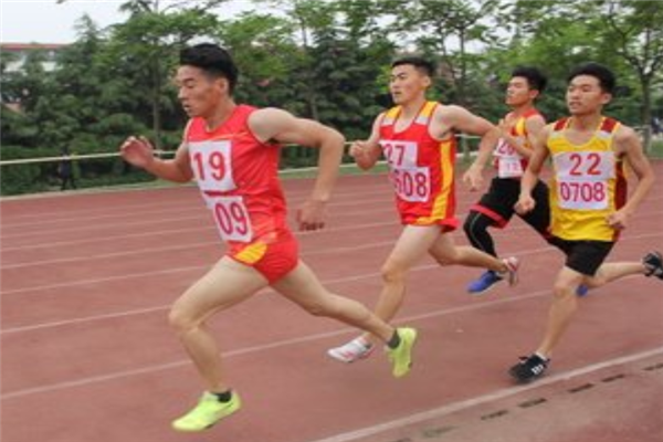 公务员十大最辛苦岗位：乡镇公务员上榜，森林公安在最后