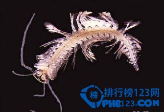 十大最新影响人类末来的惊人科学发现排行榜！