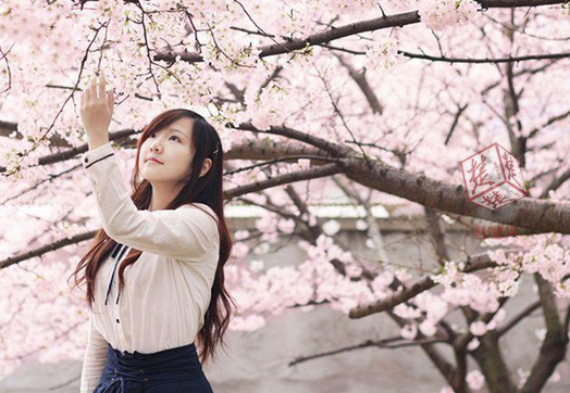 美女学霸本科毕业直博剑桥 娱乐圈学霸女明星排行榜