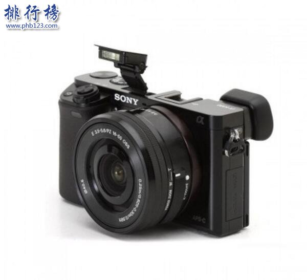 十大高性价比相机排行榜：SONY微型单反上榜，携带十分方便