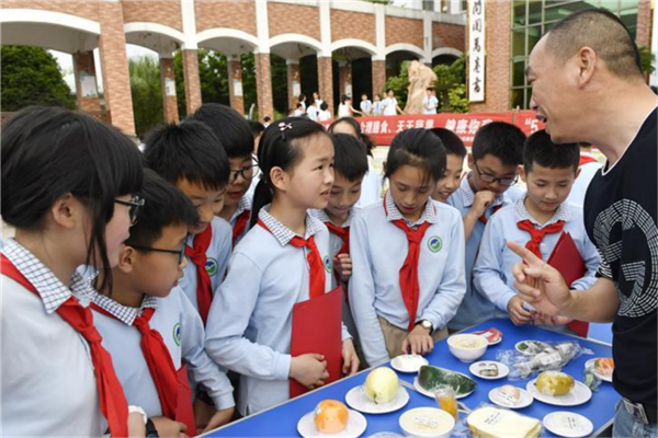 泰州市公立小学排名榜 泰州市城南小学上榜第一省一级实验小学