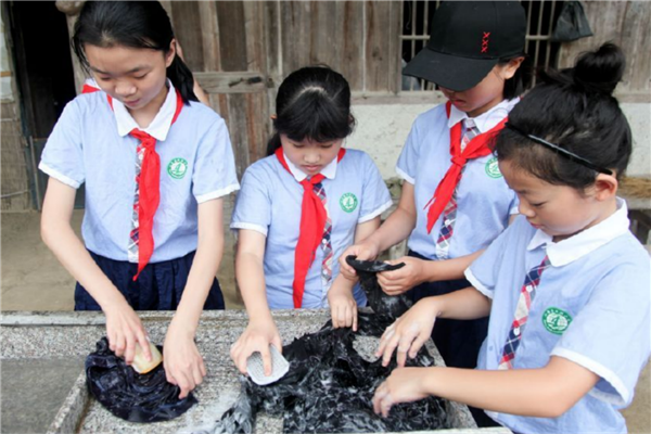 泰州市公立小学排名榜 泰州市城南小学上榜第一省一级实验小学