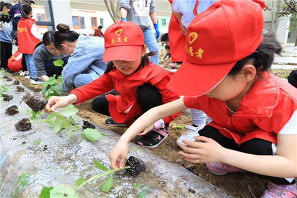 徐州市公立小学排名榜 徐州市南湖小学上榜第一现代化教育理念