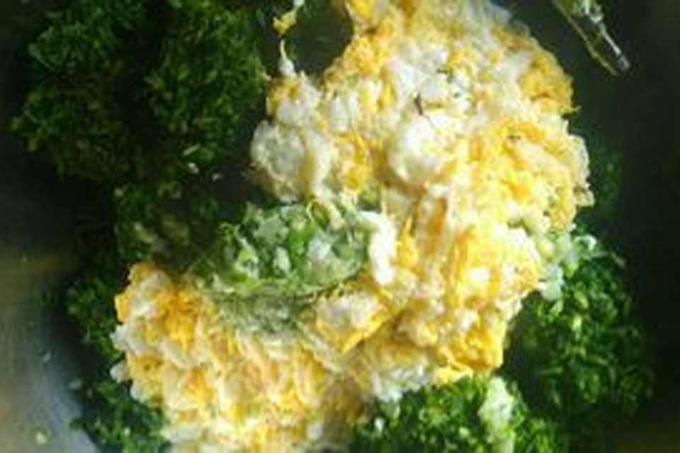 苜蓿包饺子用焯水吗 炒苜蓿为什么要焯水
