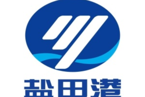 粤港澳大湾区龙头股排行榜,中集集团排第几？广弘控股夺魁