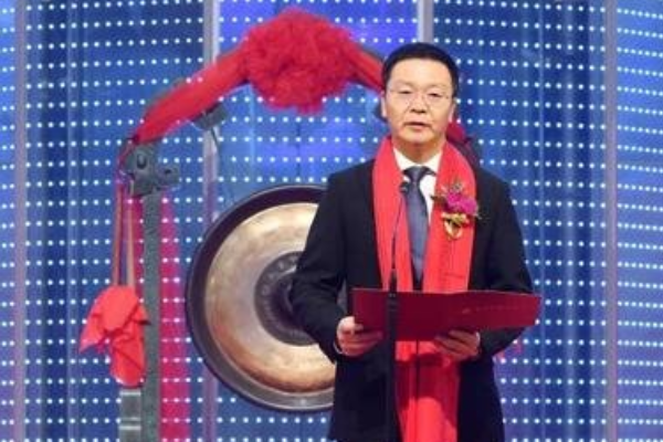 长三角一体化龙头股排行榜，迈为科技上榜，嘉化能源夺魁