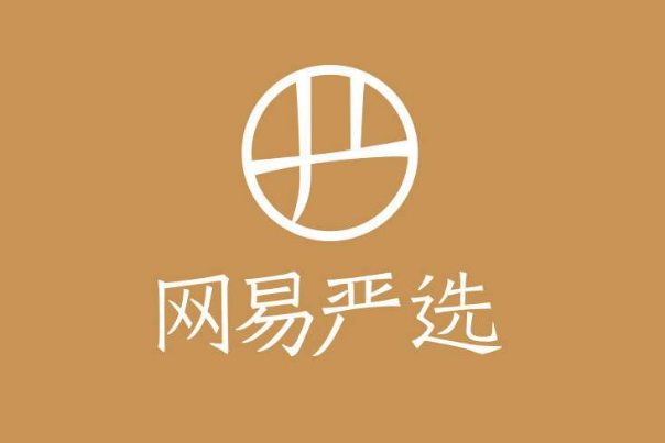 全国十大购物网站排行榜：网易严选上榜，第一成立时间最早