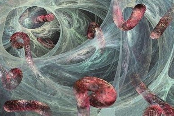 世界上最强的十大病毒 艾滋病只能排第五第一危害性极大