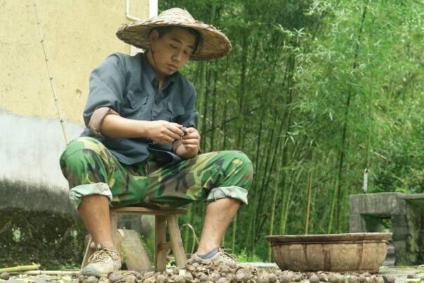 十大美食红人排名 李子柒第一，浪胃仙上榜
