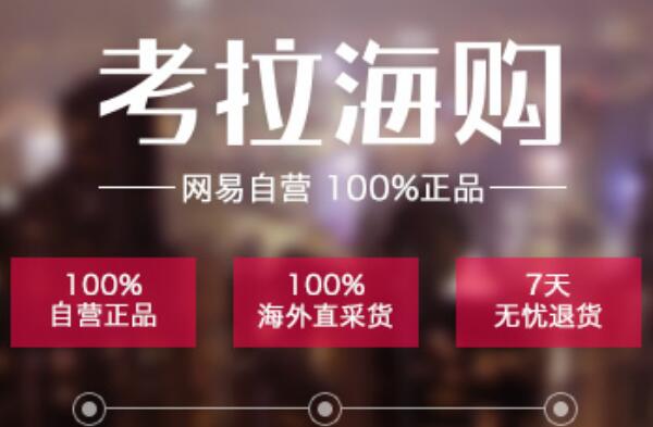 跨境电商平台排行榜前十名 京东国际上榜，第九主营奢侈品