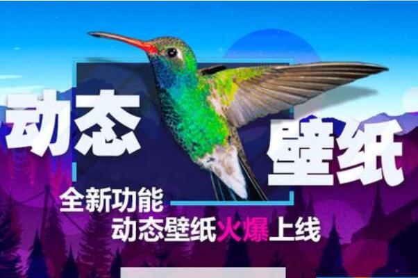十大壁纸软件排名，迅雷壁纸上榜，第一需在Steam下载