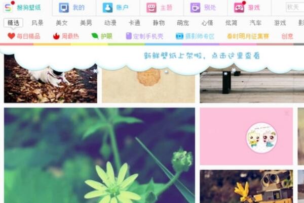 十大壁纸软件排名，迅雷壁纸上榜，第一需在Steam下载