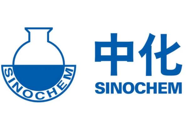国内管理咨询公司排名前十名，榜首最受认可，第六成立最晚(中化)