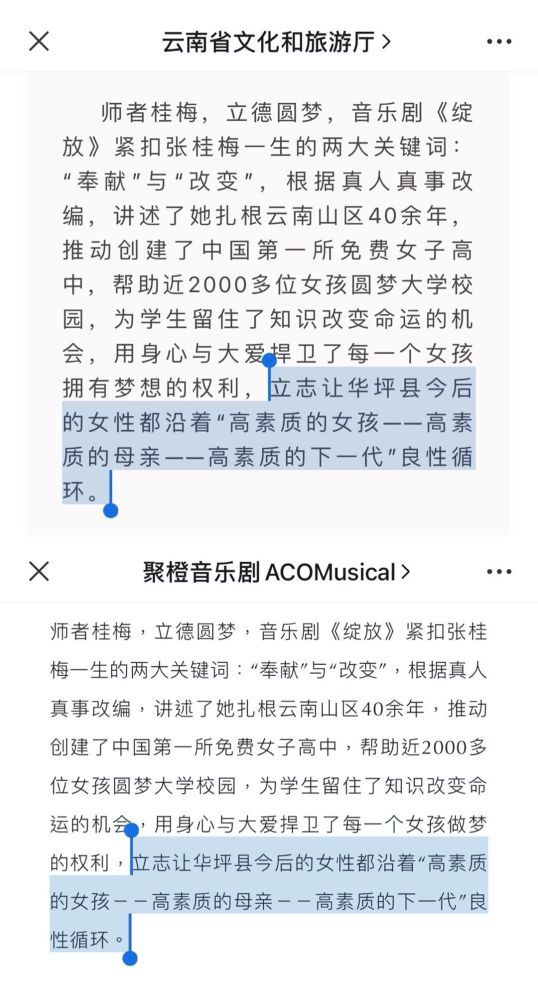 张桂梅音乐剧《绽放》宣传文案引争议 编剧回应