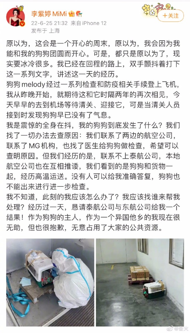 女星宠物狗托运死亡事件背后 李紫婷事件回顾