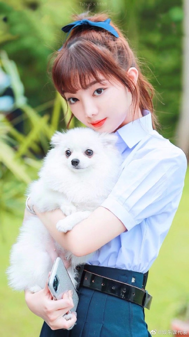 女星宠物狗托运死亡事件背后 李紫婷事件回顾