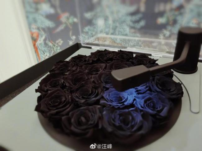 汪峰晒全家合照为自己庆生 章子怡小苹果醒醒出镜