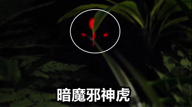 斗罗大陆215全集免费观看完整版 斗罗大陆215集在线观看 斗罗大陆215集在线观看完整版