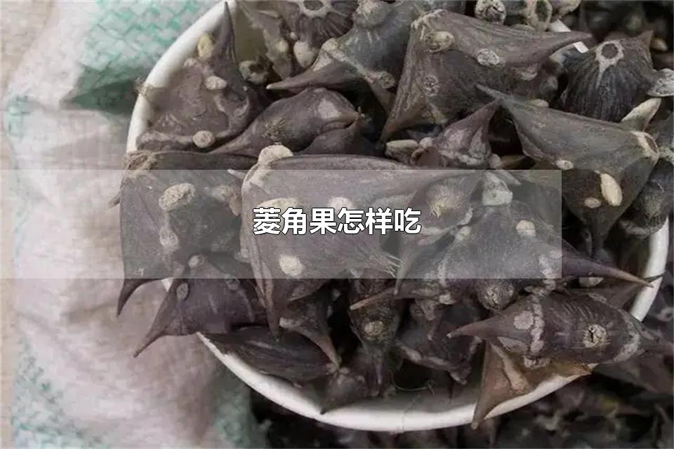 菱角果怎样吃 菱角果的吃法