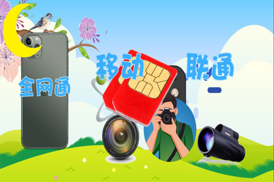 苹果11是双卡双待吗