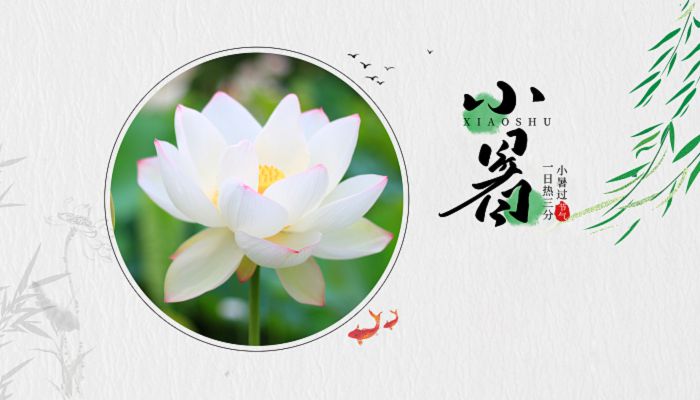 二十四节气之小暑介绍 小暑节气的天气特征 二十四节气之小暑介绍 小暑节气的天气特征