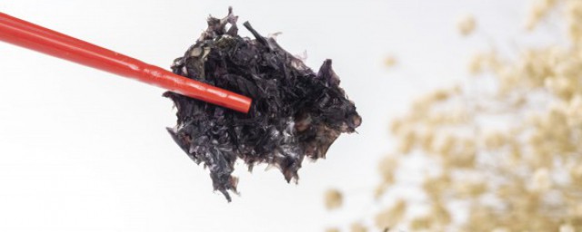 海苔受潮怎么办 海苔受潮处理方法