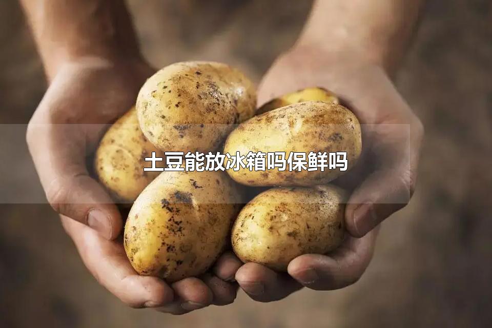 土豆能放冰箱吗保鲜吗 吃土豆有营养吗