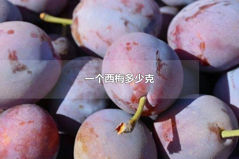 一个西梅多少克 西梅还可以制作什么