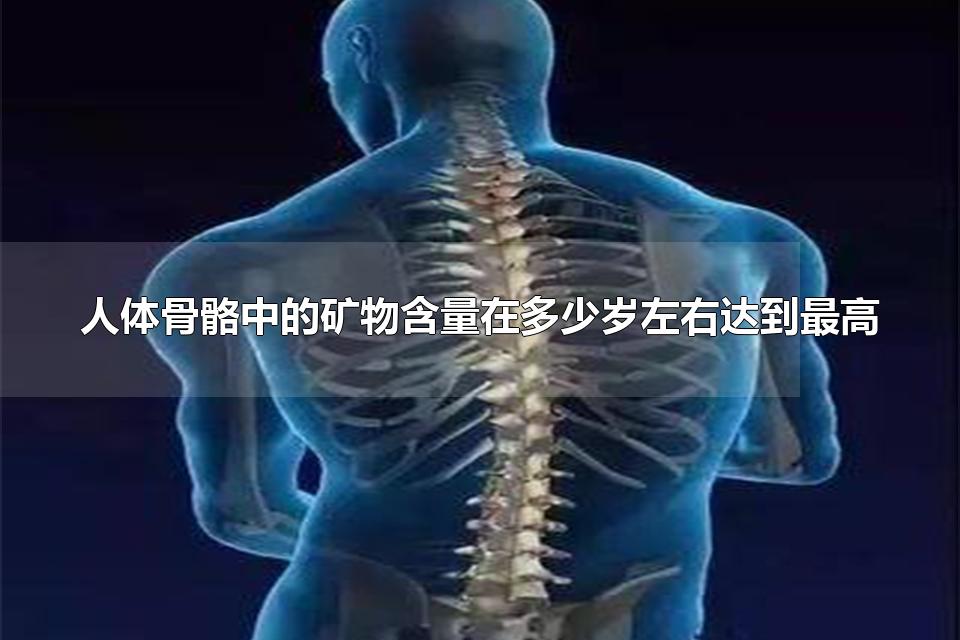人体骨骼中的矿物含量在多少岁左右达到最高 人体骨骼数量