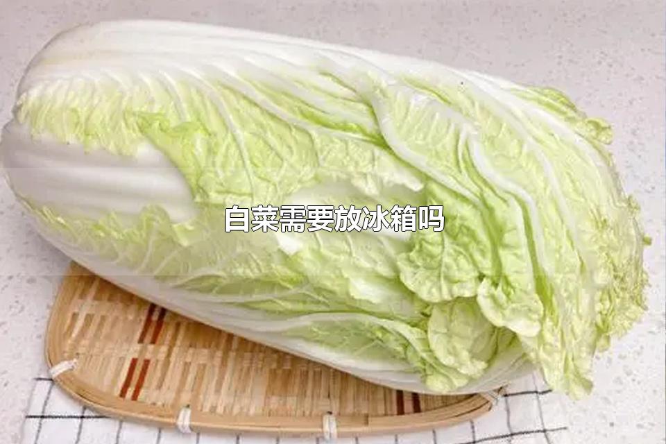 白菜需要放冰箱吗 白菜有哪些价值