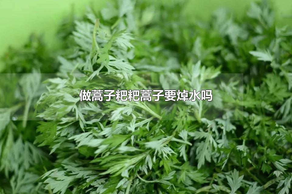 做蒿子粑粑蒿子要焯水吗 做蒿子粑粑用哪种蒿子