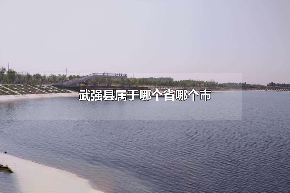武强县属于哪个省哪个市 武强县有民用机场吗