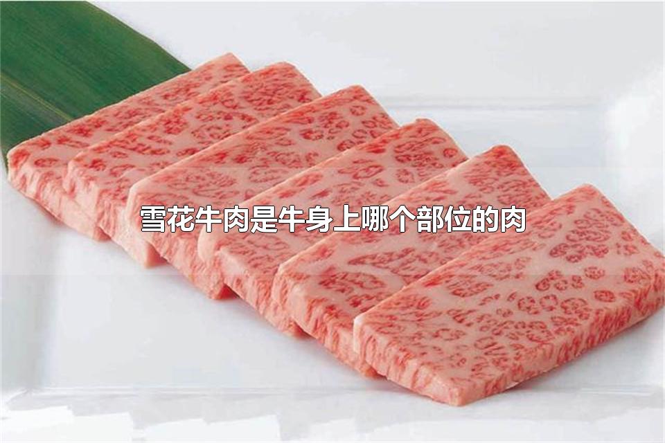 雪花牛肉是牛身上哪个部位的肉 吃雪花牛肉有什么好处