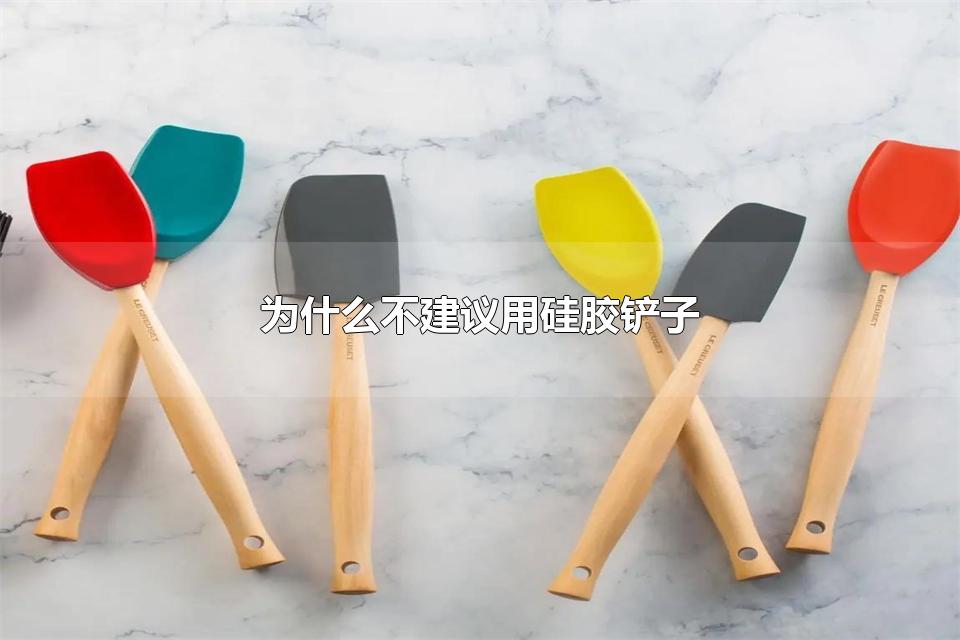 为什么不建议用硅胶铲子 铁锅选择什么铲子比较合适
