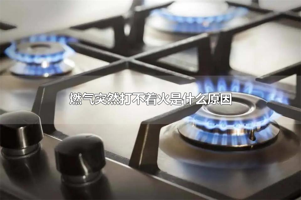 燃气突然打不着火是什么原因 使用燃气灶应该注意什么