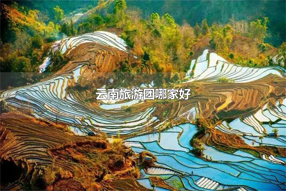 云南旅游团哪家好 找旅行社的建议