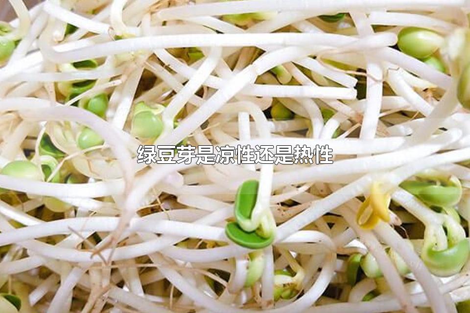 绿豆芽是凉性还是热性 怎样挑选绿豆芽