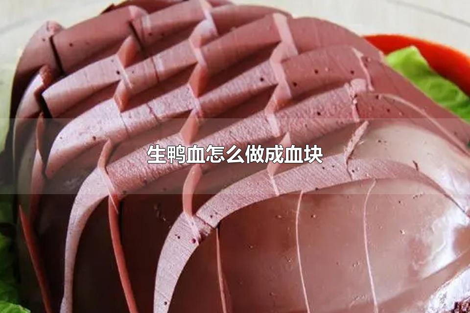 生鸭血怎么做成血块 没凝固的鸭血怎么吃