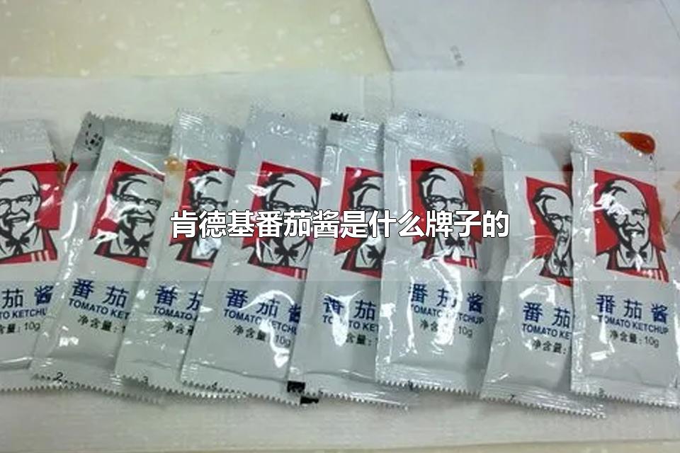 肯德基番茄酱是什么牌子的 亨氏番茄酱是国产的吗