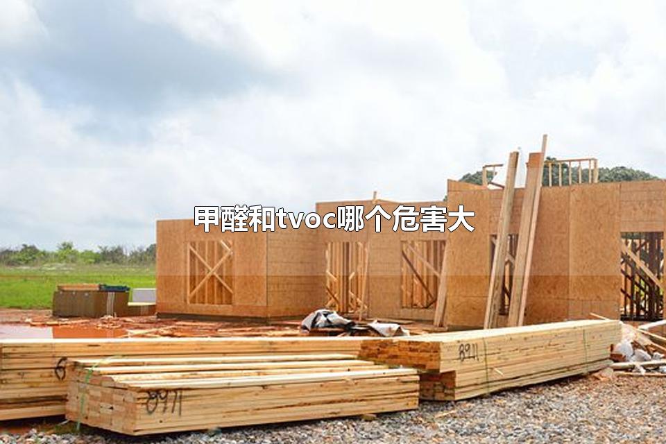 甲醛和tvoc哪个危害大 甲醛达到0.2危害大吗