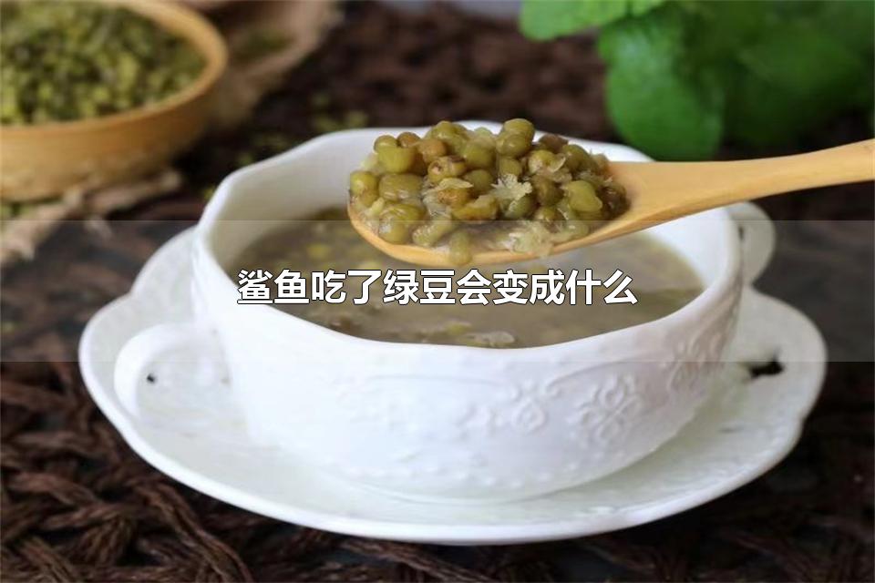 鲨鱼吃了绿豆会变成什么 玩脑筋急转弯的好处